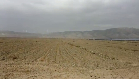 岳平安董事長(zhǎng)視察公司牧草光伏農(nóng)業(yè)一體化基地