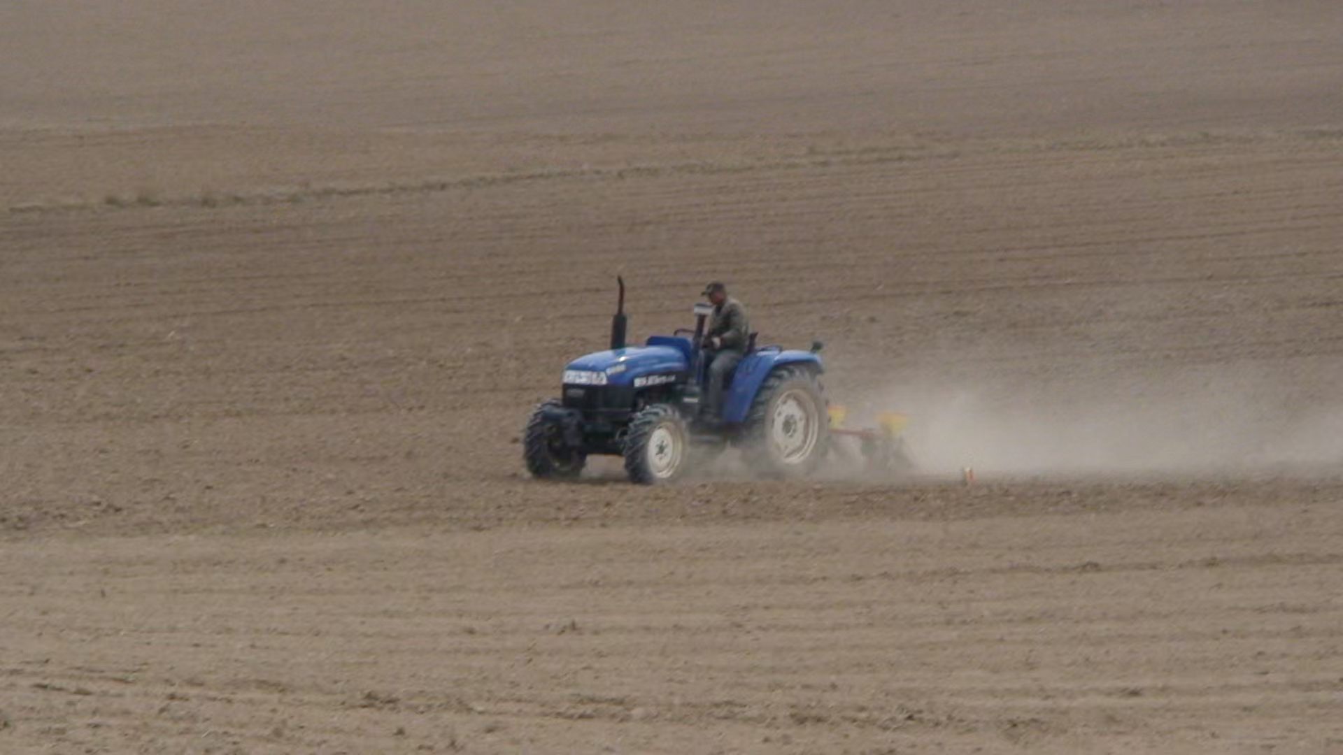 父親節(jié)特輯｜岳氏家族里的“父親力”：從血脈到事業(yè)，我們這樣讀懂“爸爸”